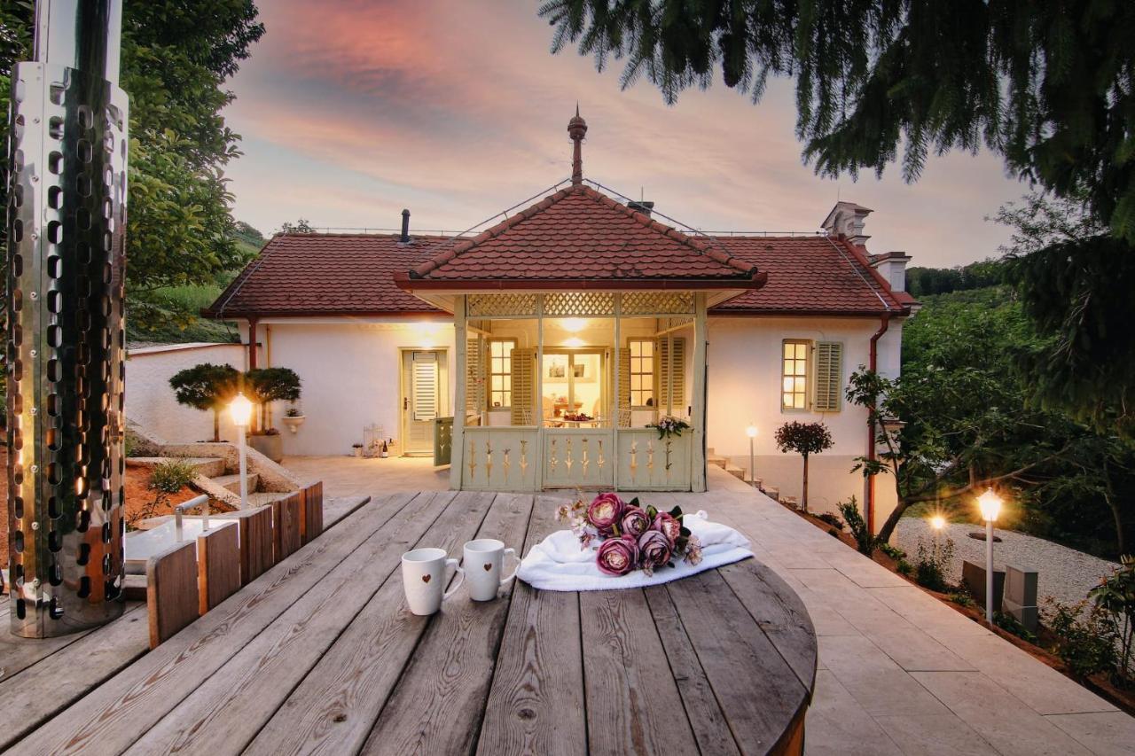 Vila Vilma Vineyard Cottage Lendava Zewnętrze zdjęcie