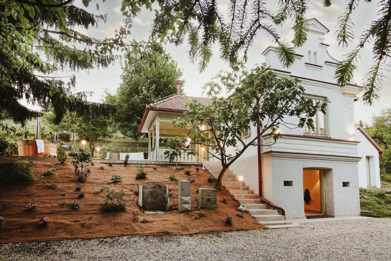 Vila Vilma Vineyard Cottage Lendava Zewnętrze zdjęcie