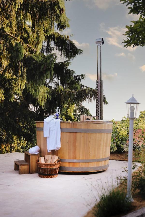 Vila Vilma Vineyard Cottage Lendava Zewnętrze zdjęcie