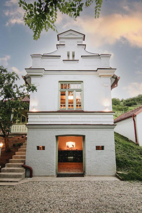 Vila Vilma Vineyard Cottage Lendava Zewnętrze zdjęcie